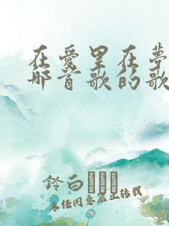 在爱里在梦里是哪首歌的歌词