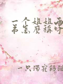 一个姐姐两个弟弟怎么称呼