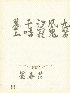 慕千汐凰九夜邪王嗜宠鬼医狂妃