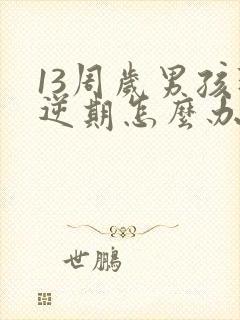 13周岁男孩叛逆期怎么办