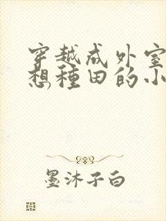 穿越成外室我只想种田的小说