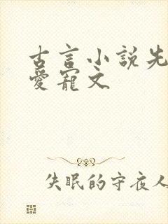 古言小说先婚后爱宠文