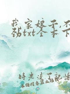 我家娘子,不对劲txt全本下载