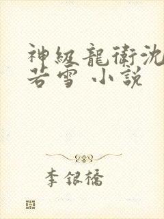 神级龙卫沈浪苏若雪 小说