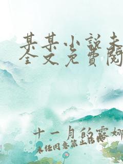 某某小说未删减全文免费阅读