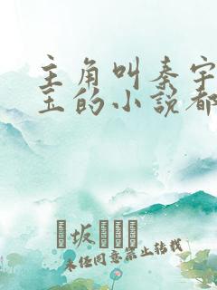 主角叫秦宇颜明玉的小说都市文