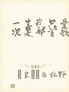 一生我只爱你一次是哪首歌的歌词