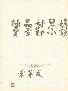 极品好儿媳的免费章节小说全文阅读