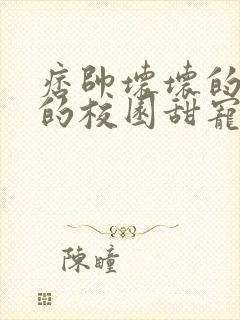 痞帅坏坏的校霸的校园甜宠文