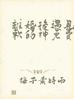 离婚后遇见了心软的神免费观看