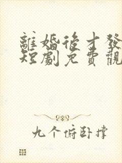 离婚后才发现爱短剧免费观看全集