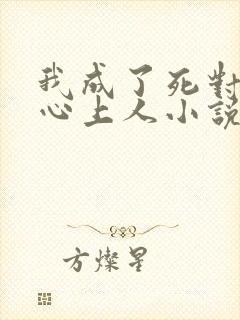 我成了死对头的心上人小说