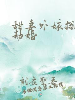 甜妻外嫁总裁要劫婚