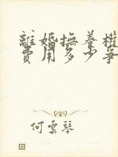 离婚抚养权律师费用多少争