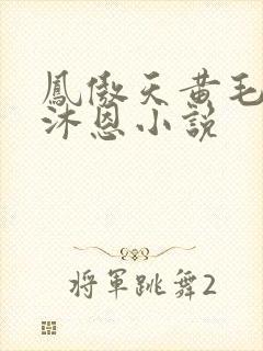 凤傲天黄毛反派沐恩小说