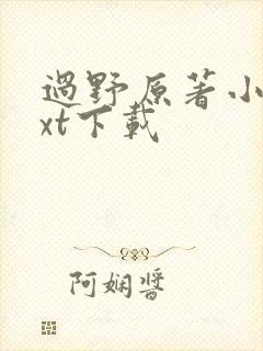 过野原著小说txt下载