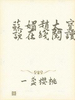 苏媚赵大宝 小说在线阅读