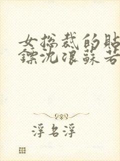 女总裁的贴身保镖沈浪苏若雪