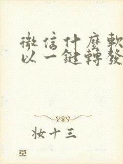 微信什么软件可以一键转发