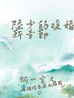 陆少的暖婚新妻新章节