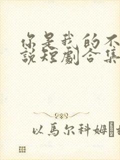 你是我的不可言说短剧合集