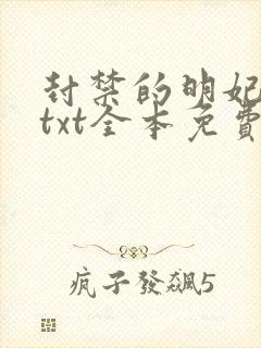 封禁的明妃小说txt全本免费阅读