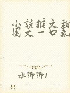 小说推文甜文校园文一口气看完