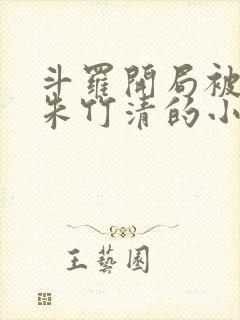 斗罗开局被俘获朱竹清的小说