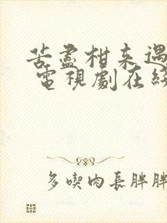 苦尽柑来遇见你 电视剧在线