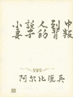 小说人到中年:妻子的背叛免费阅读全本