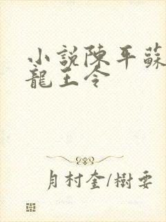 小说陈平苏雨琪龙王令