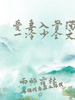 爱妻入骨独占第一冷少全文免费阅读