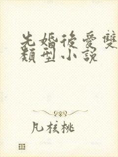 先婚后爱双男主类型小说