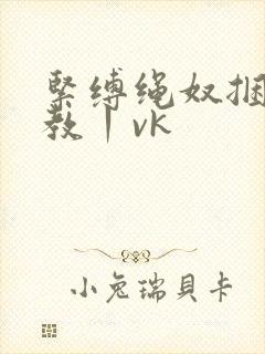 紧缚绳奴捆绑调教丨vk