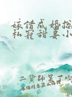 嫁错成婚总裁的私宠甜妻小说