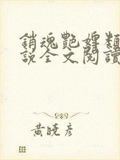 销魂艳婢类似小说全文阅读