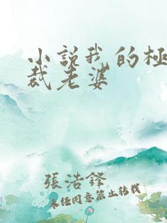 小说我的极品总裁老婆