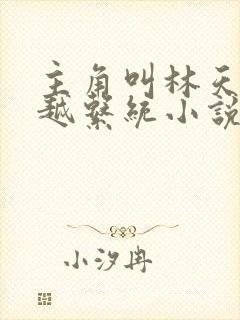 主角叫林天的穿越系统小说