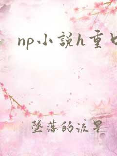 np小说h重口