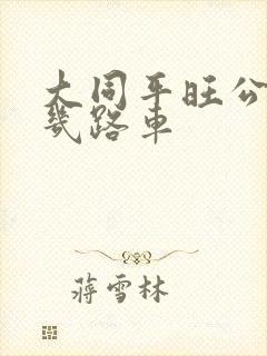 大同平旺公园坐几路车