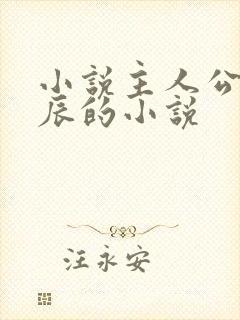 小说主人公叫龙辰的小说