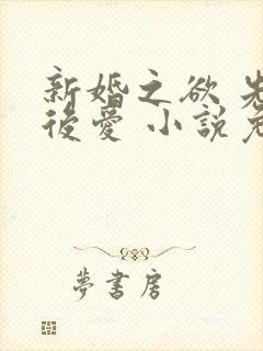 新婚之欲 先婚后爱 小说免费阅读