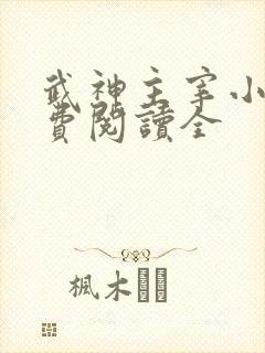 武神主宰小说免费阅读全