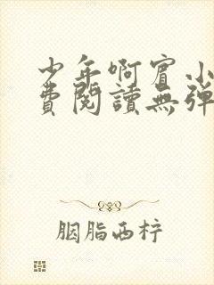 少年啊宾小说免费阅读无弹窗最新章节