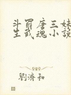 斗罗唐三妹妹双生武魂小说