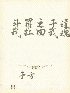 斗罗之千道流把我扛回武魂殿