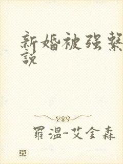 新婚被强系列小说