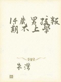 14岁男孩叛逆期不上学