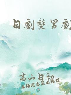 日剧双男剧推荐