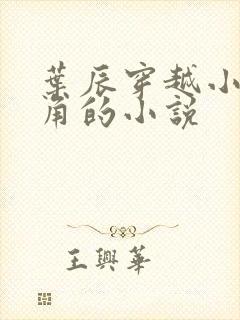 叶辰穿越小说主角的小说